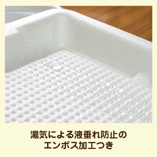 JSPパッケージング 弁当容器 テイクアウトボックス24-24CB