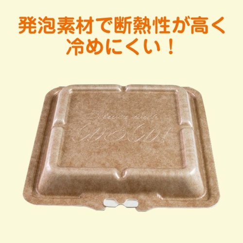 JSPパッケージング 弁当容器 テイクアウトボックス24-24CB