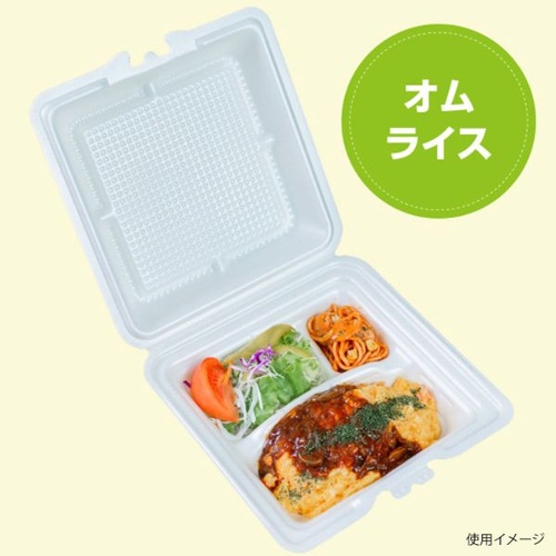JSPパッケージング 弁当容器 テイクアウトボックス24-24CB