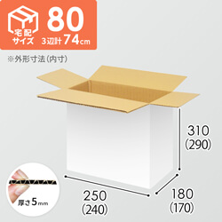 【宅配80サイズ】1100×800カゴ台車ぴったりサイズダンボール箱［ 1段16箱×6段］（240×170×290mm）5mm A/F 白C5×C5