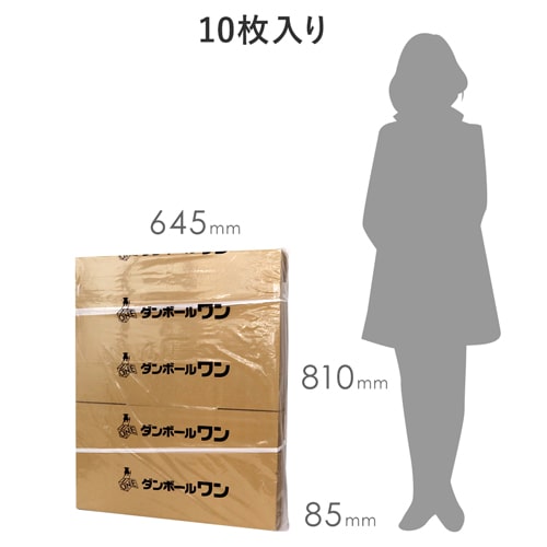 宅配120サイズ】ダンボール箱（引っ越し・梱包用／ A3サイズ