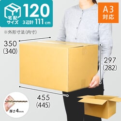 【宅配120サイズ】引っ越し・梱包用　段ボール箱（底面A3）