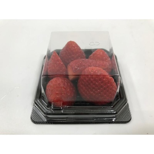 シーピー化成 和菓子容器 UFパルチェ1 黒本体