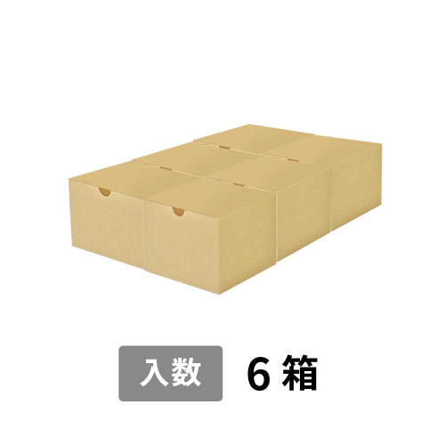 【宅配100サイズ】小箱ぴったり梱包用ダンボール箱［SBOX-04・6箱］（385×260×110mm）8mm W/F C5×C5