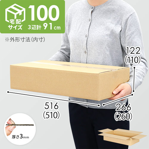 【宅配100サイズ】小箱ぴったり梱包用ダンボール箱［SBOX-04・8箱］（510×260×110mm）3mm B/F C5×C5