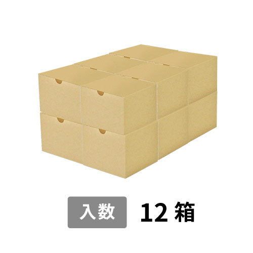 【宅配100サイズ】小箱ぴったり梱包用ダンボール箱［SBOX-04・12箱］（385×260×210mm）8mm W/F C5×C5