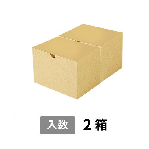 【宅配60サイズ】小箱ぴったり梱包用ダンボール箱［SBOX-05・2箱］（250×180×130mm）3mm B/F C5×C5