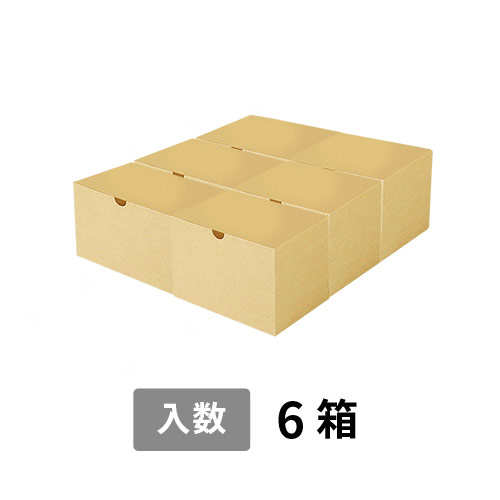 【宅配100サイズ】小箱ぴったり梱包用ダンボール箱［SBOX-05・6箱］（370×350×130mm）3mm B/F C5×C5