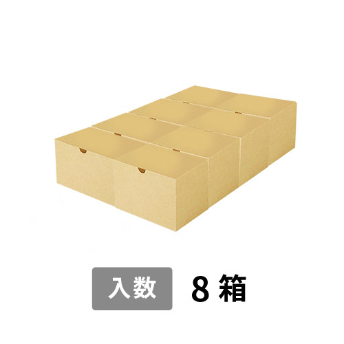 【宅配100サイズ】小箱ぴったり梱包用ダンボール箱［SBOX-05・8箱］（490×350×130mm）3mm B/F 白C5×C5