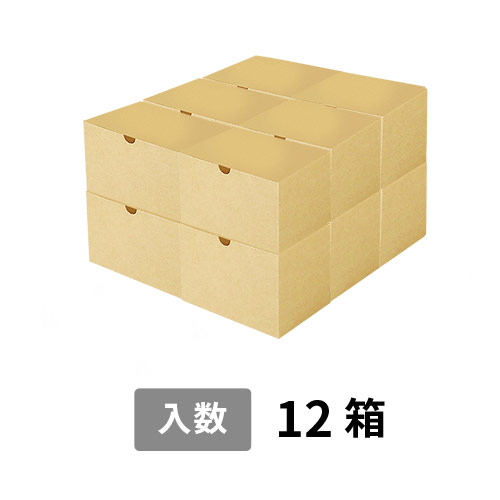 【宅配120サイズ】小箱ぴったり梱包用ダンボール箱［SBOX-05・12箱］（370×350×250mm）5mm A/F 白C5×C5
