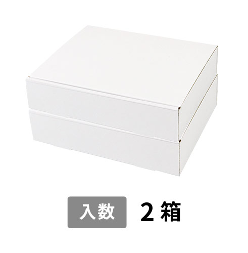 【宅配80サイズ】小箱ぴったり梱包用ダンボール箱［WBOX-02・2箱］（273×201×138mm）3mm B/F C120×C120