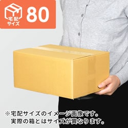 【宅配80サイズ】小箱ぴったり梱包用ダンボール箱［WBOX-03・2箱］（313×231×138mm）3mm B/F C5×C5