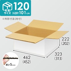 宅配120サイズ】小箱ぴったり梱包用ダンボール箱［WBOX-03・6箱］（452