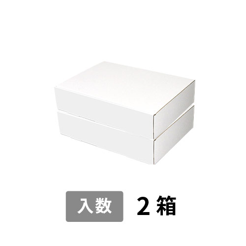 【宅配100サイズ】小箱ぴったり梱包用ダンボール箱［WBOX-04・2箱］（413×301×138mm）3mm B/F C5×C5