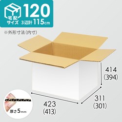 【宅配120サイズ】小箱ぴったり梱包用ダンボール箱［WBOX-04・6箱］（413×301×394mm）5mm A/F 白C5×C5