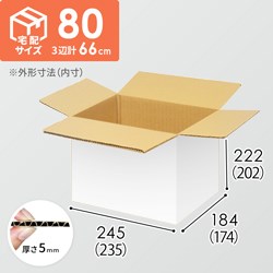 【宅配80サイズ】小箱ぴったり梱包用ダンボール箱［WBOX-05・2箱］（235×174×202mm）5mm A/F 白C5×C5
