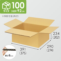 【宅配100サイズ】小箱ぴったり梱包用ダンボール箱［WBOX-08・2箱］（375×274×202mm）8mm W/F C5×C5