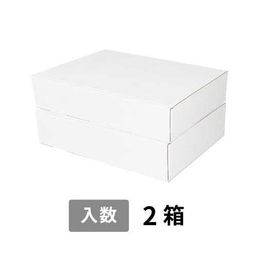【宅配100サイズ】小箱ぴったり梱包用ダンボール箱［WBOX-09・2箱］（415×304×202mm）5mm A/F K5×K5