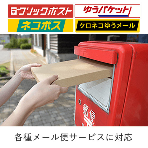 【ネコポス・クリックポスト・クロネコゆうメール】厚さ2cm・N式ケース