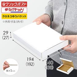 【クリックポスト・ゆうパケット・定形外郵便】厚さ3cm・N式ケース(白)