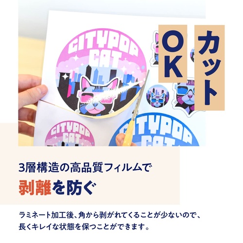 ラミネートフィルム A3 100μ 303×426mm 1箱100枚入 フジテックス