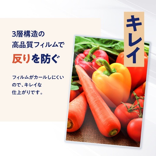 ラミネートフィルム A4 100μ 216×303mm 1箱100枚入 フジテックス