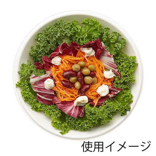 HEIKO 丼容器 バガスペーパーウェア 徳用ボウル GB-18 50枚