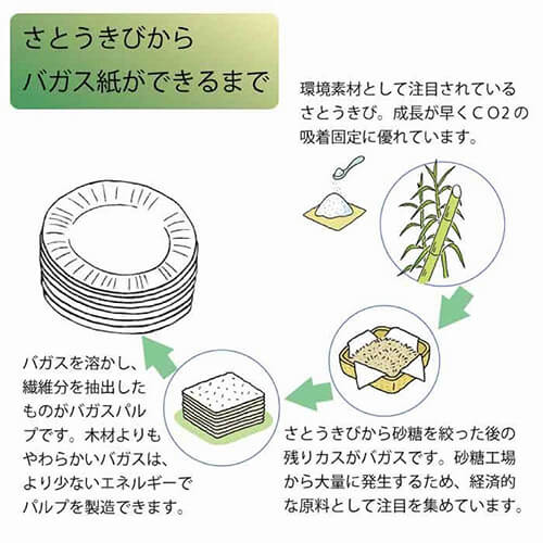 HEIKO 紙皿 業務用バガスカレー皿 NCP230 50枚