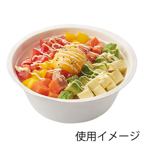 HEIKO 丼容器 業務用バガスペーパーウェア どんぶり 600ml ND15F 50枚