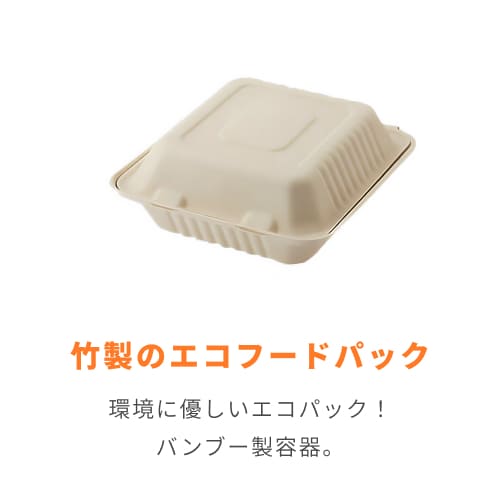 HEIKO 食品容器 バンブーペーパーウエア フードパック 3仕切り BFD3-20