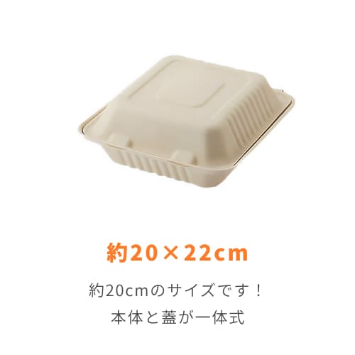 HEIKO 食品容器 バンブーペーパーウエア フードパック 3仕切り BFD3-20