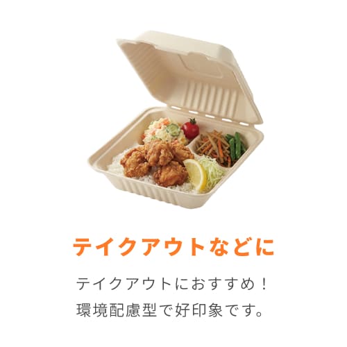 HEIKO 食品容器 バンブーペーパーウエア フードパック 3仕切り BFD3-20