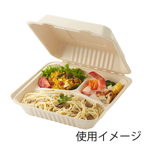 HEIKO 食品容器 バンブーペーパーウエア フードパック 3仕切り BFD3-22 20枚