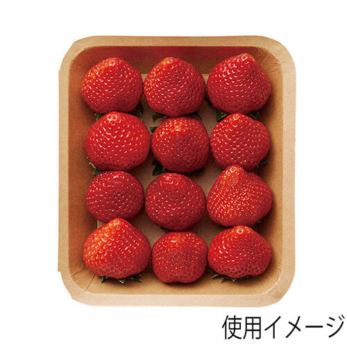 HEIKO 食品容器 クラフトフードトレー 15x17 50枚