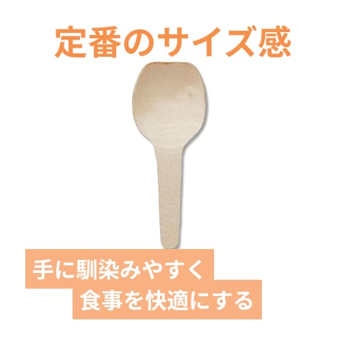アサヒグリーン 白樺スプーン 6cm バラ(個包装なし) 5101 100本