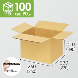【宅配100サイズ】ダンボール箱(250×220×390) 5mm A/F K5×K5