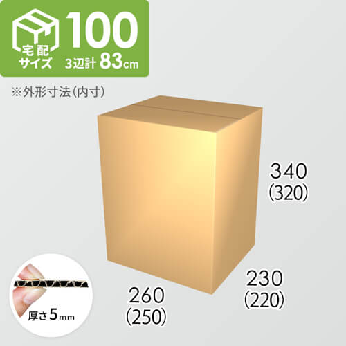 【宅配100サイズ】ダンボール箱(250×220×320) 5mm A/F K5×K5