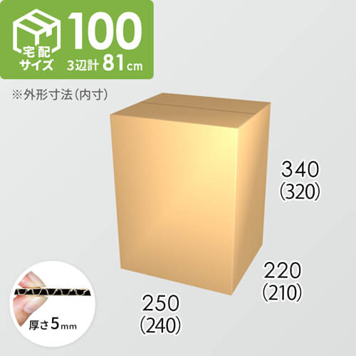 【宅配100サイズ】ダンボール箱(240×210×320) 5mm A/F K5×K5