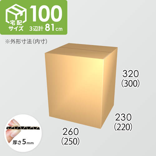 【宅配100サイズ】ダンボール箱(250×220×300) 5mm A/F K5×K5
