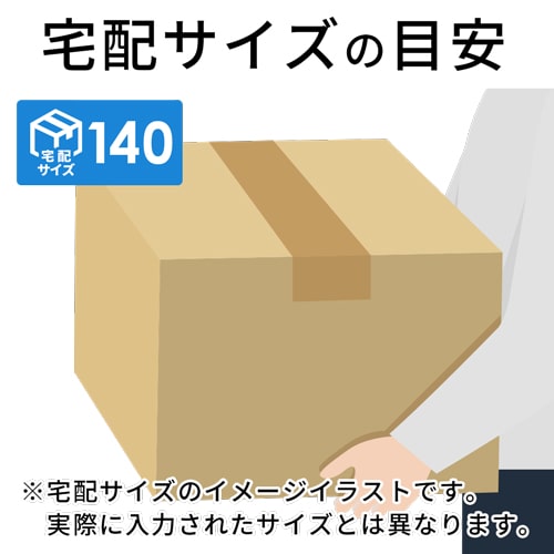 ダンボール箱（長さ256x幅256x深さ680mm）