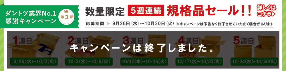 ダントツ業界No.1感謝キャンペーン第3弾