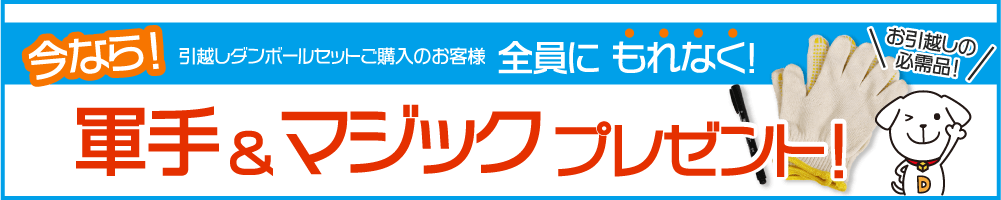 引っ越しダンボールでプレゼント