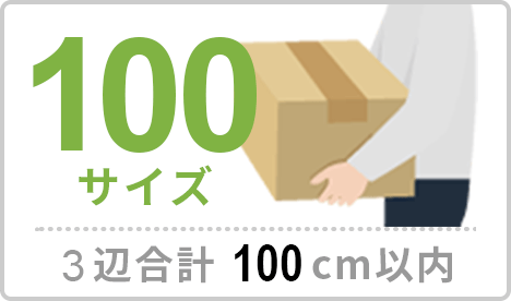 100サイズ