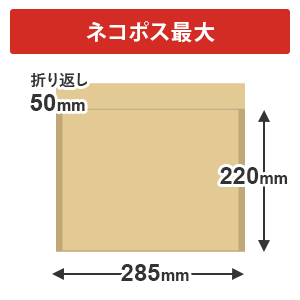 クッション封筒（ネコポス最大）※A4不可