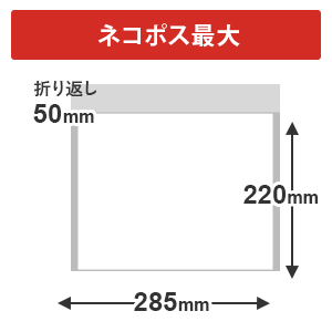 クッション封筒・白（ネコポス最大）