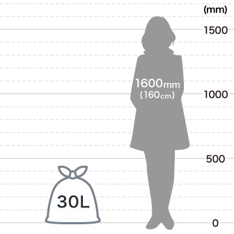30L