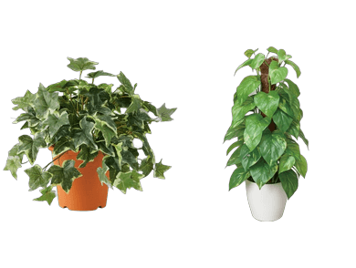 グリーン・人工植物