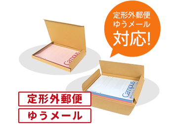 定形外郵便・ゆうメール対応ケース