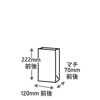 幅120×マチ70×高さ222mm前後