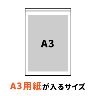 A3